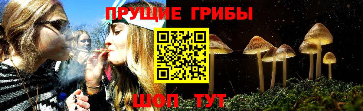 Выборг  Псилоцибиновые грибы GOLDEN TEACHER  Вход с VPN  Галлюциногенные грибы мицелий 