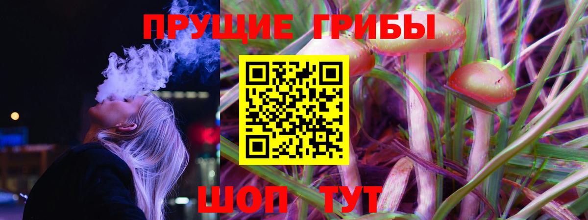 Галлюциногенные грибы Cubensis Выборг